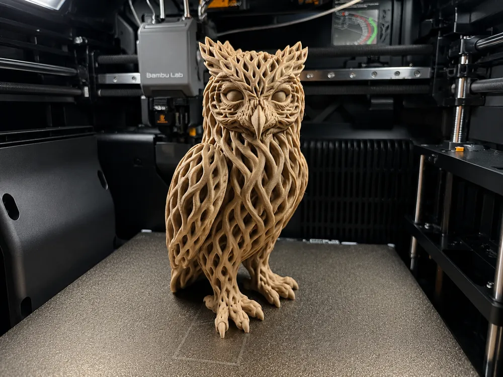 owl