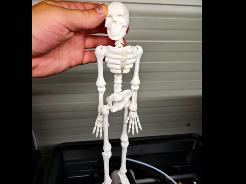 Flexi skeleton