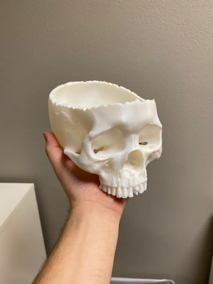 Realistic Skull Candy Bowl Halloween Skull Decorat