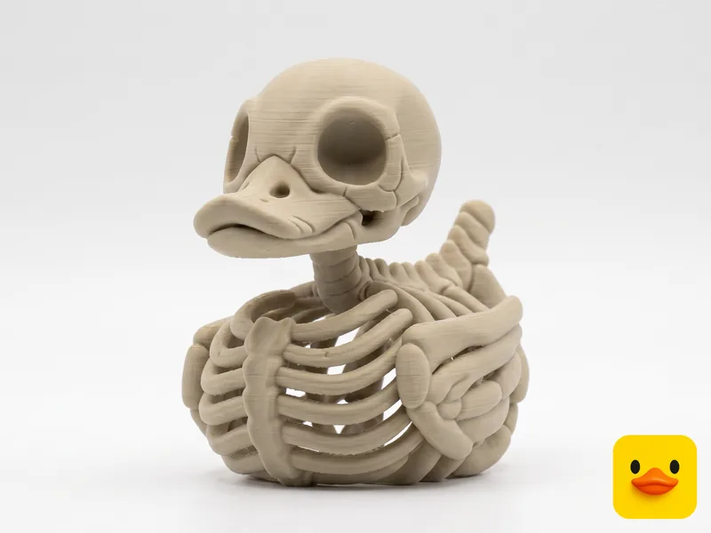 Hollow Skeleton Duck