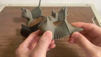 弹簧猫