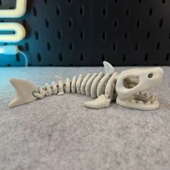 Articulated Skeleton SharkFree