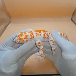 gecko_flexi_multicolor_printinplace€ 0.95