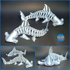 Hammerhead Shark BonesFree