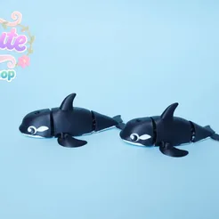 killer whale€ 2+