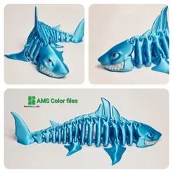 Shark Bones 2.0€ 2.67
