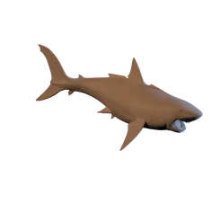 shark€ 0.50+