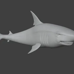 Shark€ 0.88