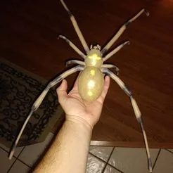 Brown Widow SpiderFree