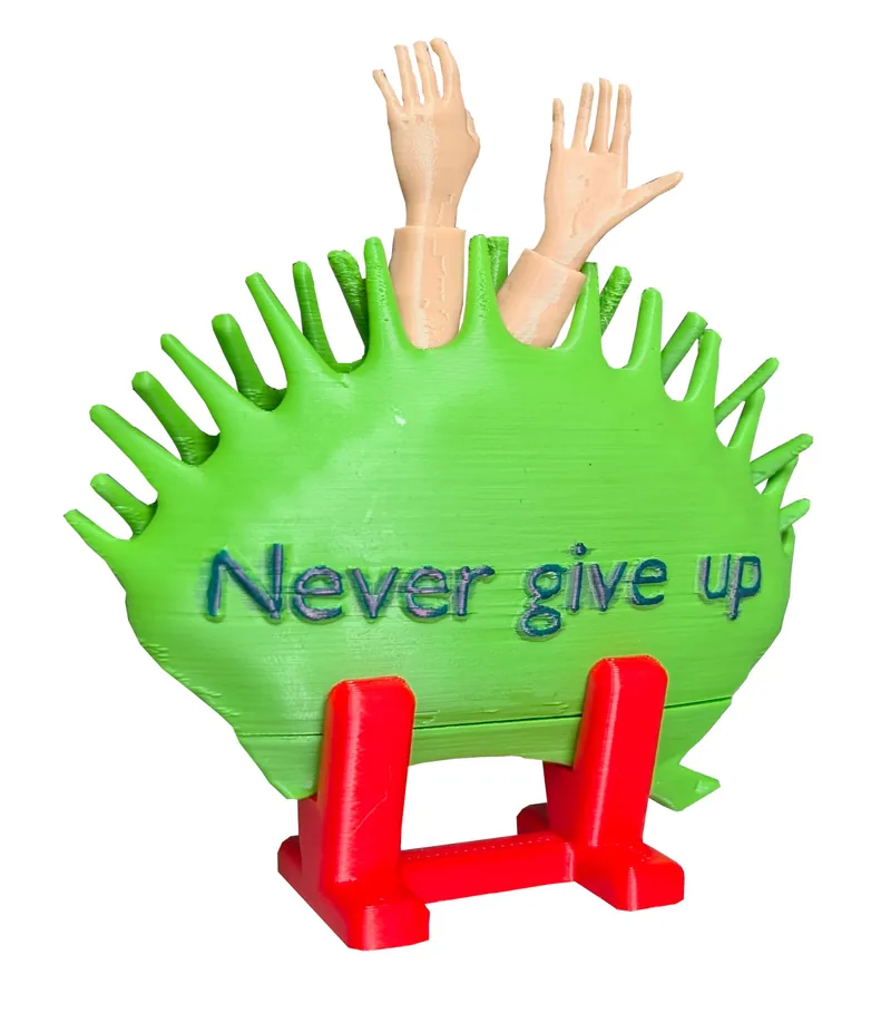 Venus fly trap "Never give up"