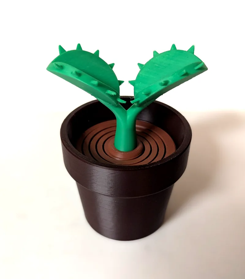 Venus Fly Trap - Springy Flower Collection