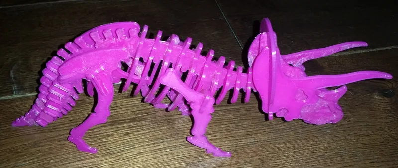 Triceratops puzzle skeleton