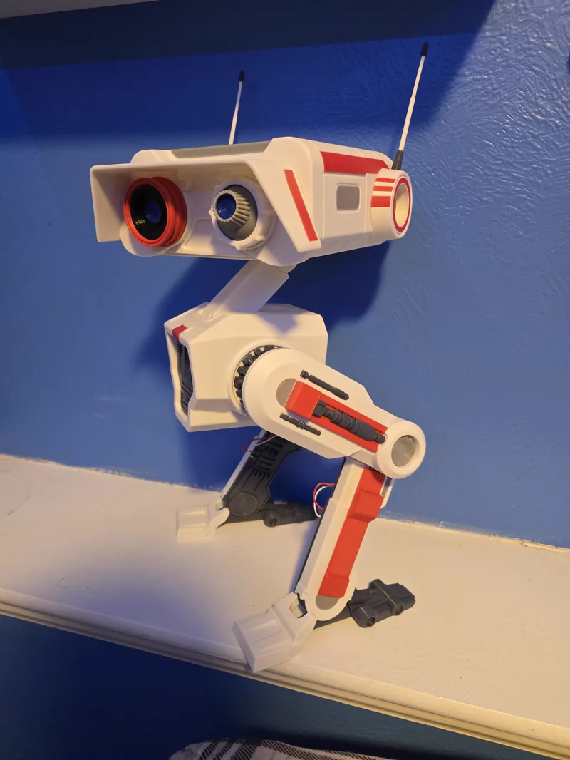 BD-1 - Color Divided