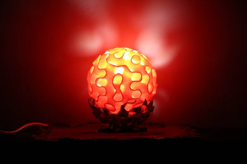 Coral Lamp