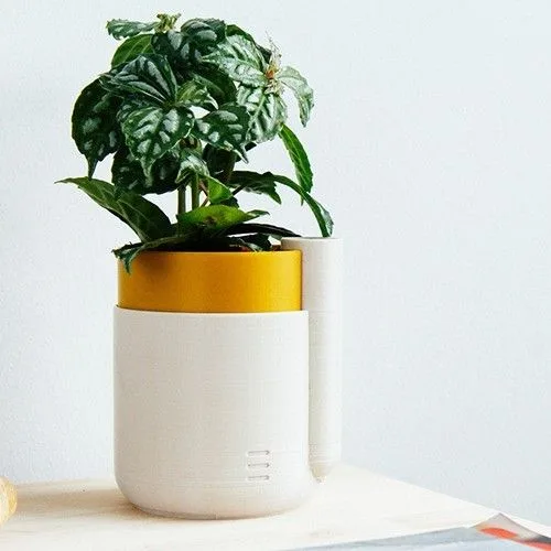 Self-Watering Planter (Small)